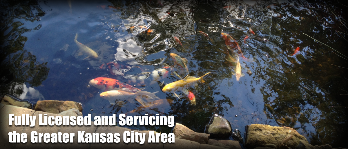 Kansas City Pond Cleaning